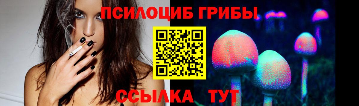 где можно купить   Вход с VPN  Сухой Лог  Псилоцибиновые грибы Psilocybine cubensis 